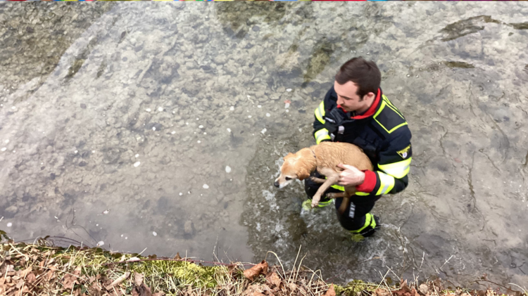 Foto: Feuerwehr München | © Foto: Feuerwehr München