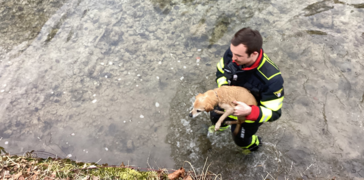 Foto: Feuerwehr München | © Foto: Feuerwehr München