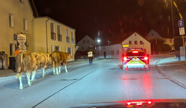 Foto: Polizei Gauting | © Foto: Polizei Gauting