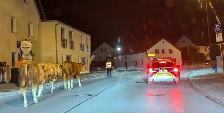 Foto: Polizei Gauting | © Foto: Polizei Gauting